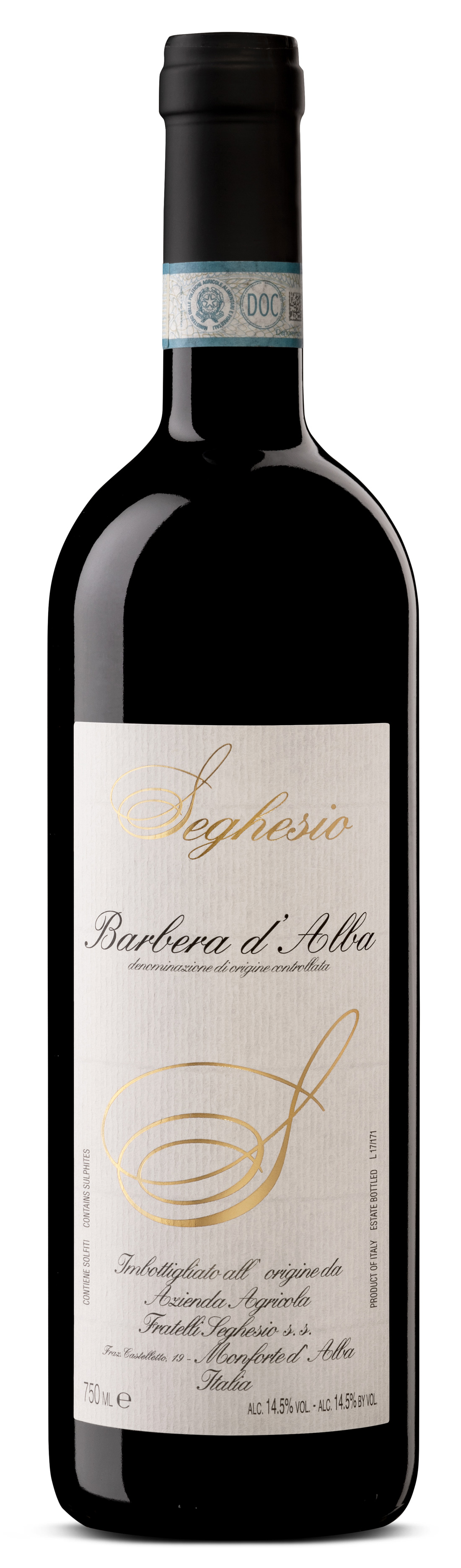 Seghesio Barbera d' Alba DOC 2022